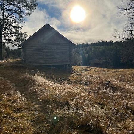 Villa Granhede -Sjoelaege Med Badtunna, Eldstad Med Mera Torsby Luaran gambar