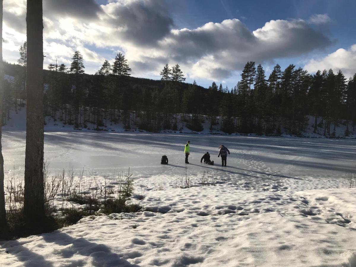 Villa Granhede -Sjoelaege Med Badtunna, Eldstad Med Mera Torsby Luaran gambar
