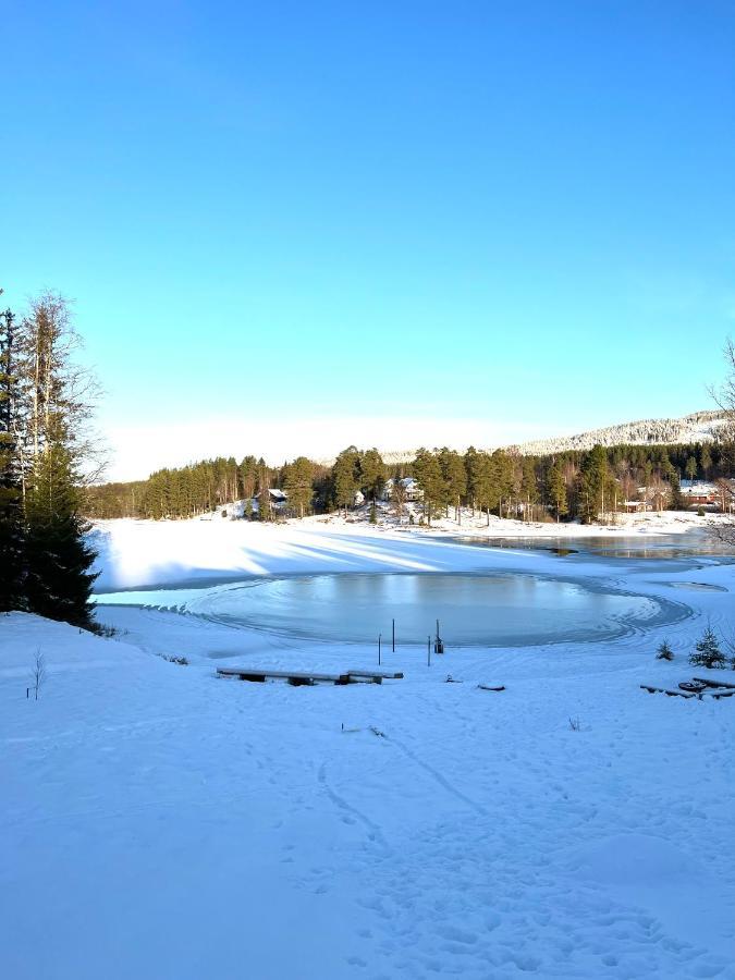 Villa Granhede -Sjoelaege Med Badtunna, Eldstad Med Mera Torsby Luaran gambar