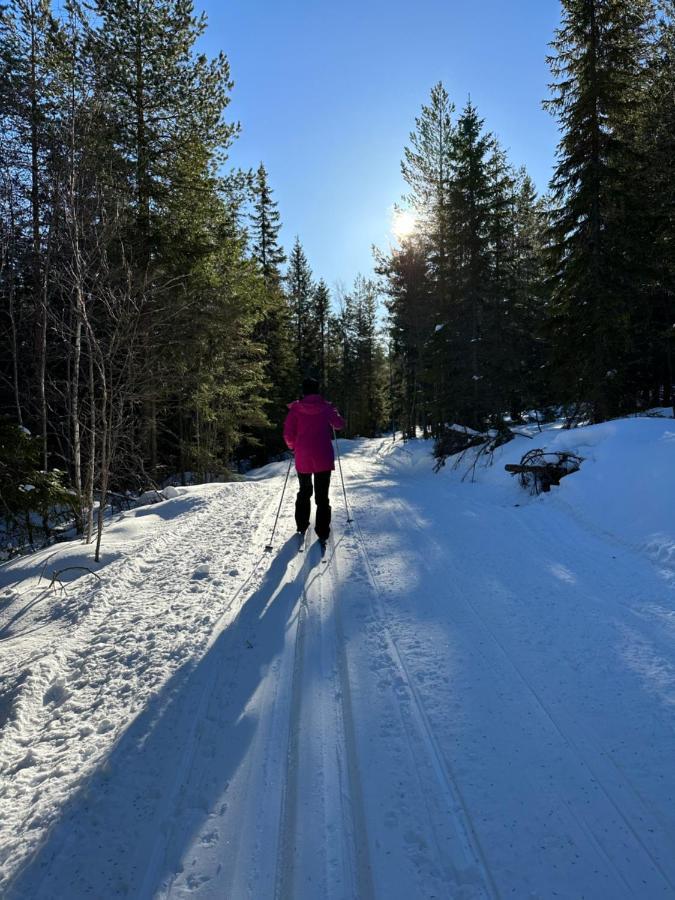 Villa Granhede -Sjoelaege Med Badtunna, Eldstad Med Mera Torsby Luaran gambar
