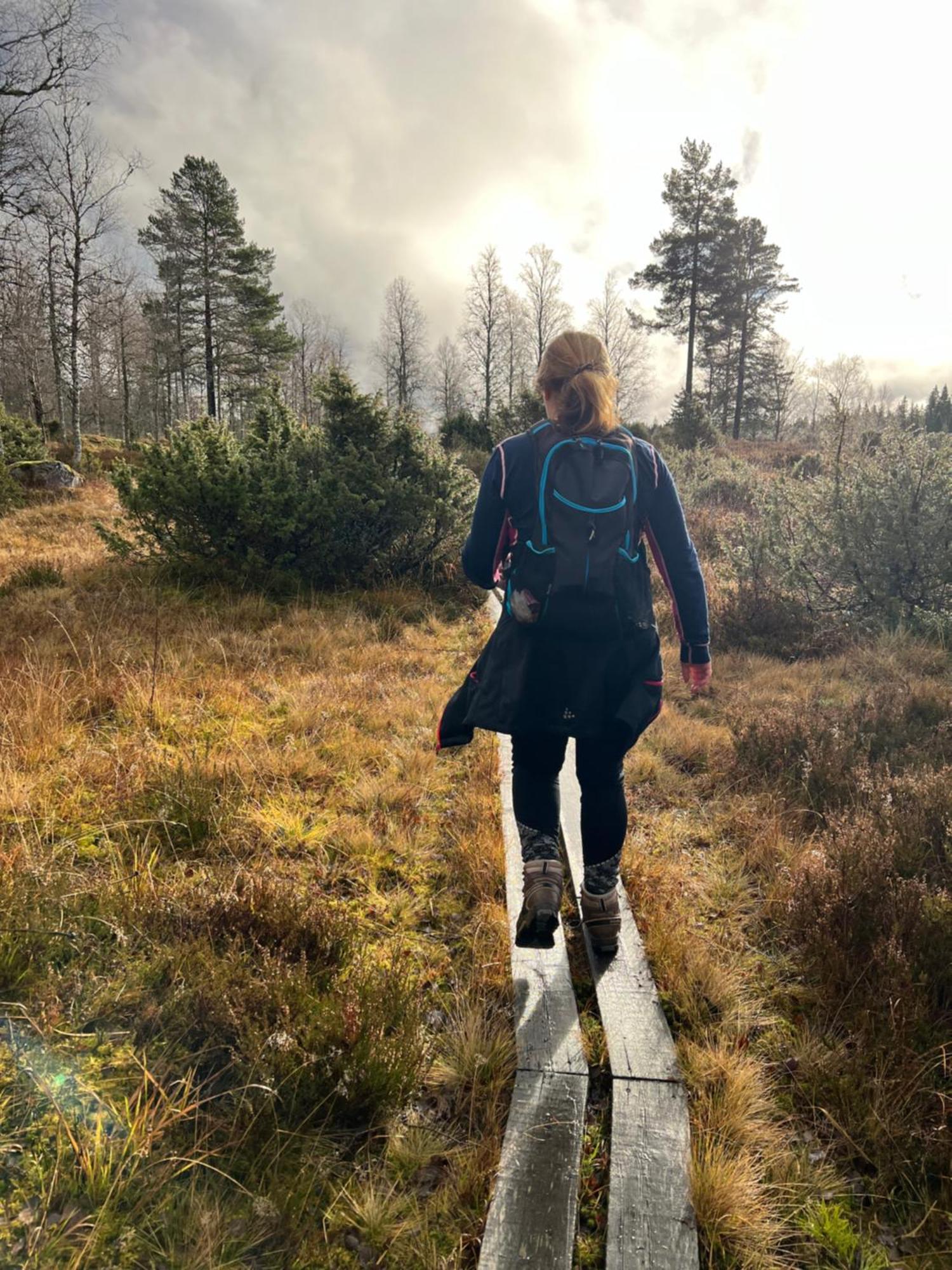 Villa Granhede -Sjoelaege Med Badtunna, Eldstad Med Mera Torsby Luaran gambar