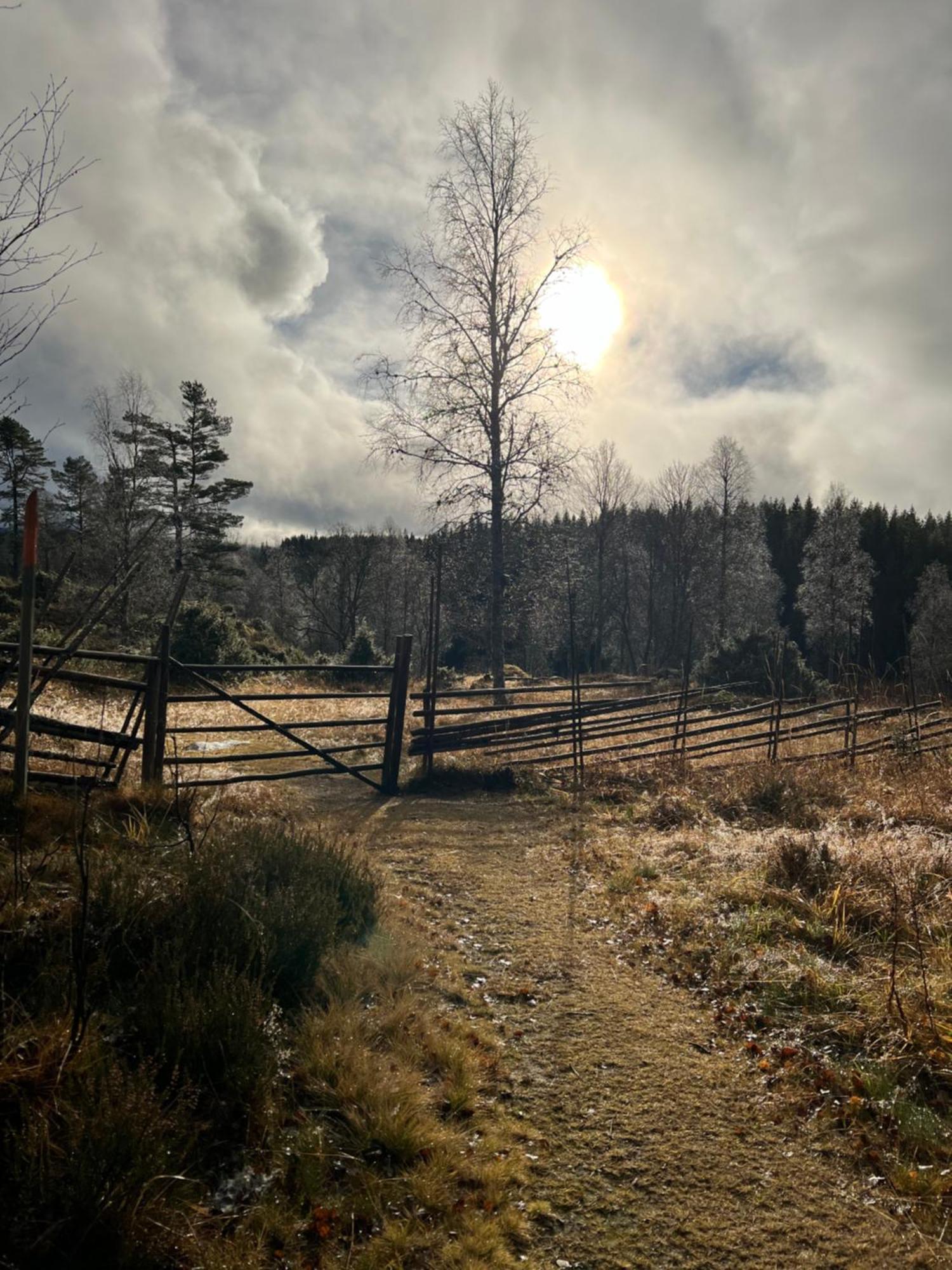 Villa Granhede -Sjoelaege Med Badtunna, Eldstad Med Mera Torsby Luaran gambar